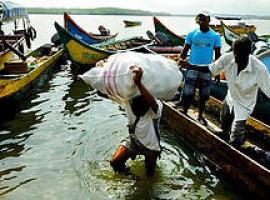 Ecuador prohibe definitivamente la pesca de arrastre