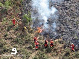 Debate de especialistas sobre los fuegos forestales intencionados en la RAI