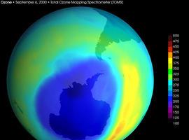 WWF denuncia en Doha un acuerdo débil e irreal para frenar el cambio climático