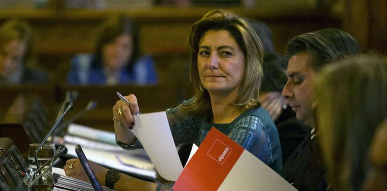 Bienestar Social destina 51M€ a la atención a la discapacidad