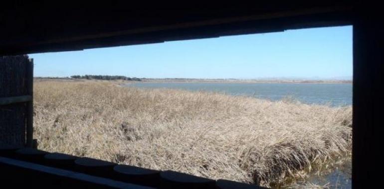 Los Espacios Naturales Protegidos de Aragón conmemoran este fin de semana el Día de los Humedales