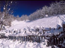 Continúan con cadenas los puertos de Montaña, pero la nieve se irá retirando durante el domingo