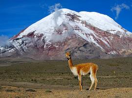 Restacatan el cuerpo del turista alemán que fallació de un infarto en el Nevado Chimborazo