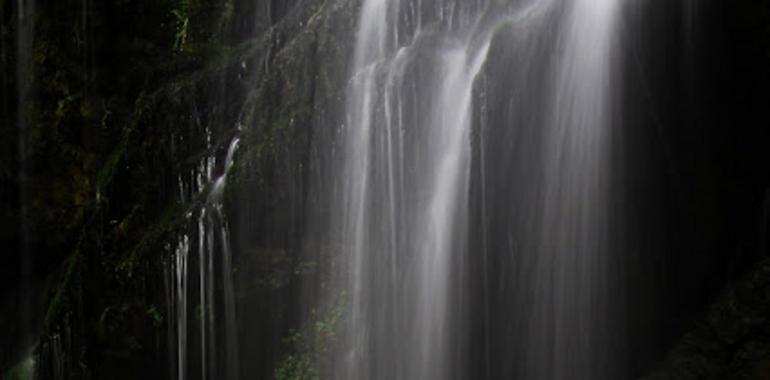 Fotógrafos de Naturaleza de Asturias presenta en Llanes un audiovisual de Fauna y paisajes 