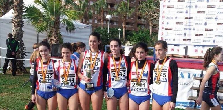 Asturias cosecha un oro y dos bronces en el Campeonato de España de Cross por Clubes