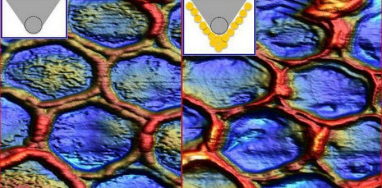 El CSIC perfecciona la visión de lo más pequeño 