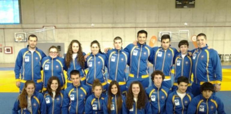 Siete asturianos clasificados para la fase final de Campeonato de España de Kárate