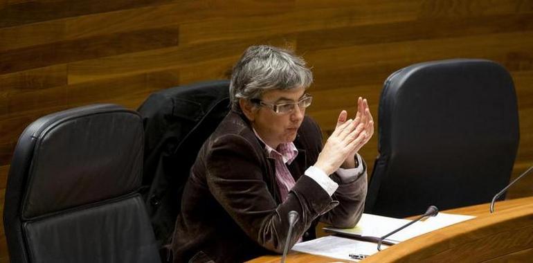 La consejera anuncia que regulará la red de centros del Principado en esta legislatura