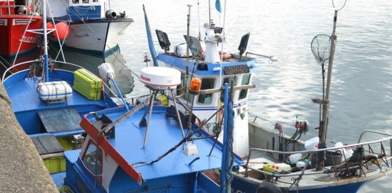 “Hay que tirar xardas muertas al mar, porque entran al cebo de la merluza o el congrio”