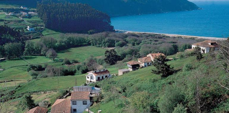 Desalojados cinco vecinos de una vivienda en Lamuño ante la amenaza de un argayu