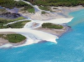 El cambio climático afecta especies de lagos patagónicos