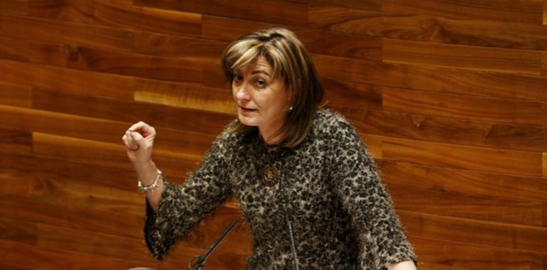 15.566 asturianos se benefician de la Ley de Dependencia