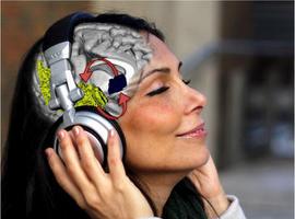 El cerebro se \pirra\ por la música nueva