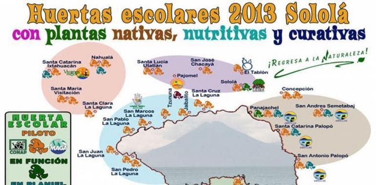 Las plantas nativas alimentan y curan