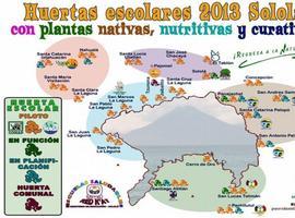 Las plantas nativas alimentan y curan