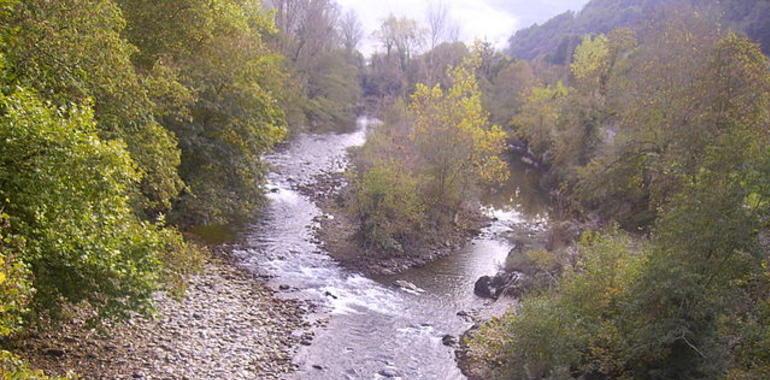 El río Sella queda expedito tras retirar la pasarela, a la altura de Triongo