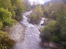 El río Sella queda expedito tras retirar la pasarela, a la altura de Triongo