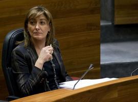 El PP pide en la Junta la reprobación de la consejera de Bienestar Social