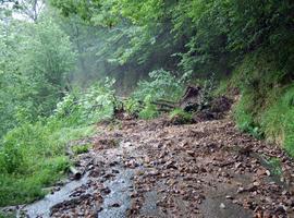 Las lluvias provocan numerosos argallos en Llanes