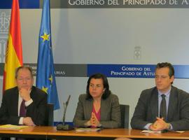  La consejera propone a debate en el Parlamento el futuro de la Asturias agroganadera