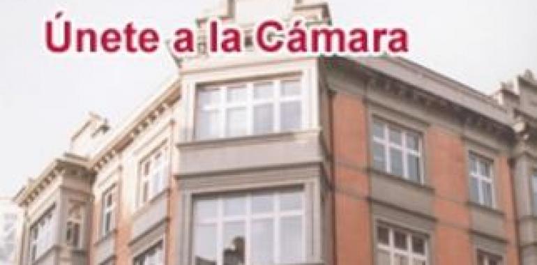 Jornada sobre herramientas electrónicas de compras y licitaciones en Cámara Oviedo