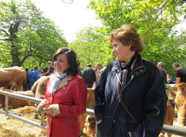 La consejera anuncia nuevos controles del lobo en El Cuera, durante la feriona de Corao