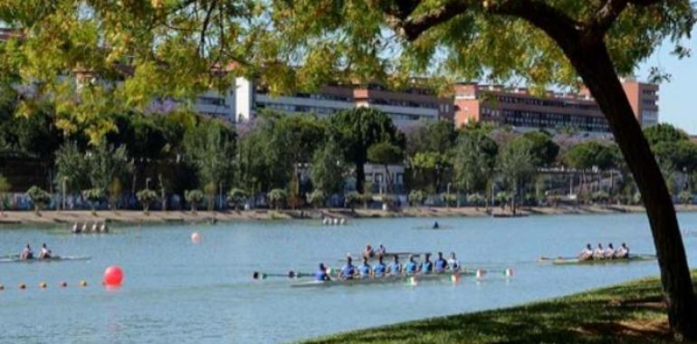  Fuerte comienzo del remo en Sevilla