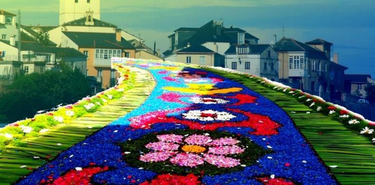 Exposición fotográfica "Alfombras Florales de Castropol"