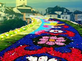 Exposición fotográfica \"Alfombras Florales de Castropol\"