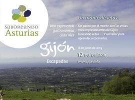 Deva, un monte de setas en Gijón