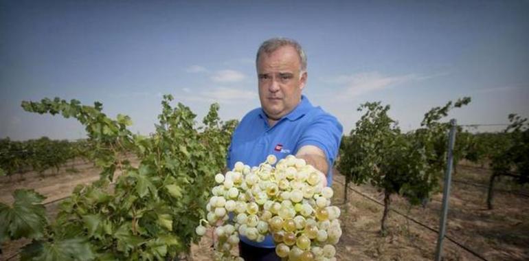 Una medalla de Oro y dos de Plata para los Vinos de Madrid