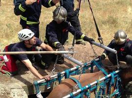 Rescatado con vida Khan, un caballo de 30 años que había caído hace días a un pozo