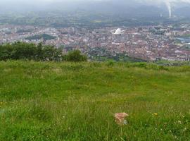 IU pide al Ayuntamiento que lidere la protección del Naranco