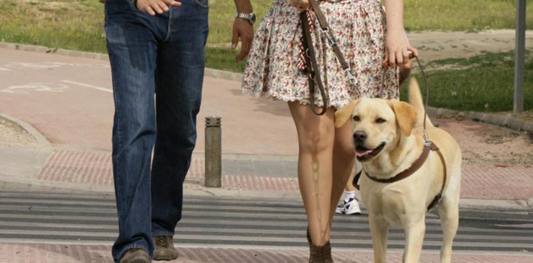 Exhibición de perros guía en la Escandalera