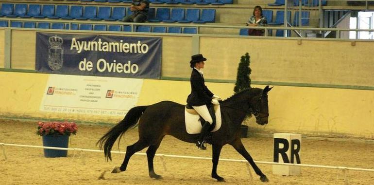 IU pide que se sancione a URBASER por la "desnutriciòn de los caballos del Asturcón