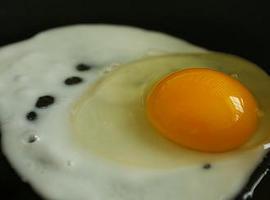 ¡Alegría para el probe! Comer huevos no se asocia con altos niveles de colesterol 