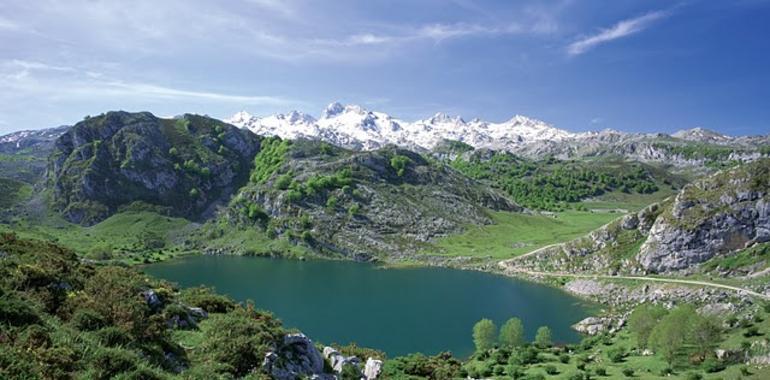 La limitación del acceso rodado a Lagos de Covadonga comienza el viernes 