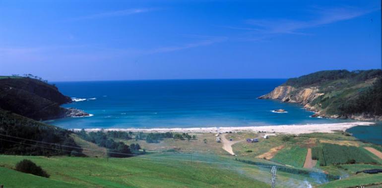 Limpieza y desbroce de carreteras en el occidente asturiano