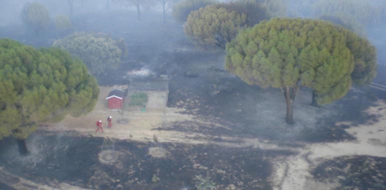 Evacuado un varón herido en el incendio de Cebreros, ya en nivel 2