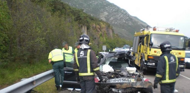 Bomberos, Zitrón, Gómez Ojeda, Padre Vinjoy, HUCA y vecinos de La Zoreda, Medallas de Asturias