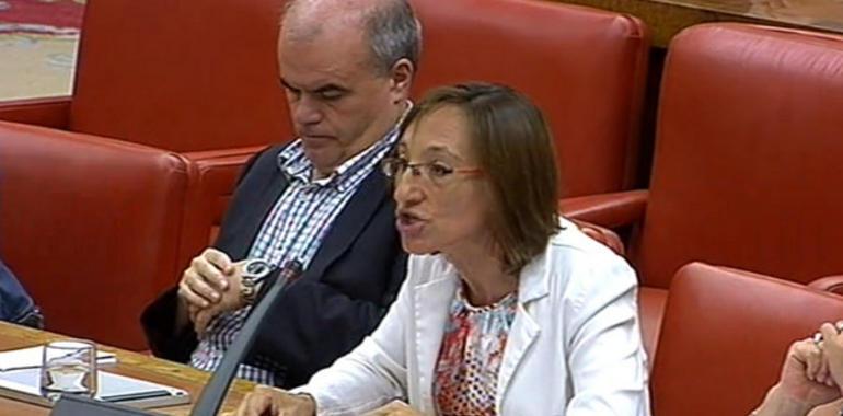 Intervención de la ministra de Fomento ante la Comisión en el Congreso