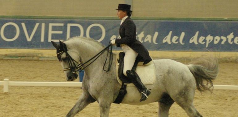 Oviedo se prepara para 10 días de la mejor doma clásica nacional