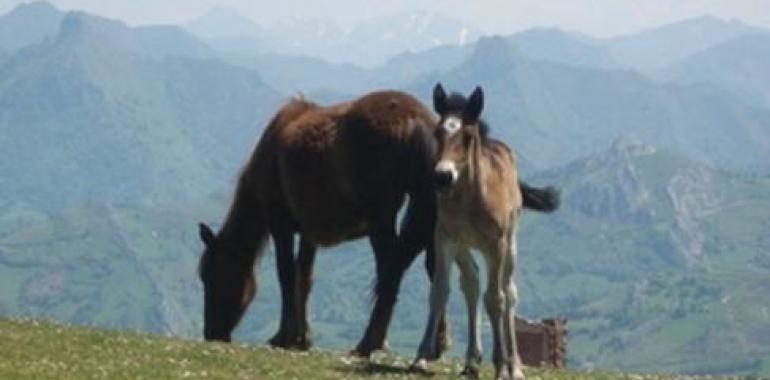 Fin de semana en Valle de Turón y Avés, con Asturies ConBici