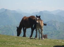 Fin de semana en Valle de Turón y Avés, con Asturies ConBici