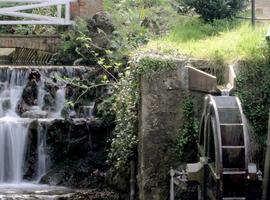 Las Noches Mágicas cierran su ciclo este fin de semana en el Botánico