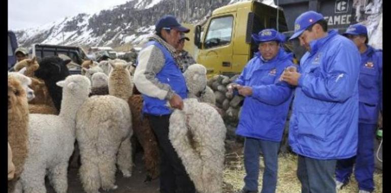 Humala concentra ayudas del Gobierno para resolver situación de afectados por heladas