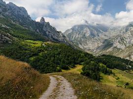 El Ayuntamiento de Cabrales organiza mañana una jornada de limpieza en la ribera del río Casaño