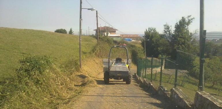 El Ayuntamiento adecenta el acceso al Zoo de Oviedo 