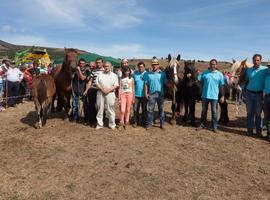 Más de 1.500 caballos en la feria de  ‘San Mateo\, en Reinosa