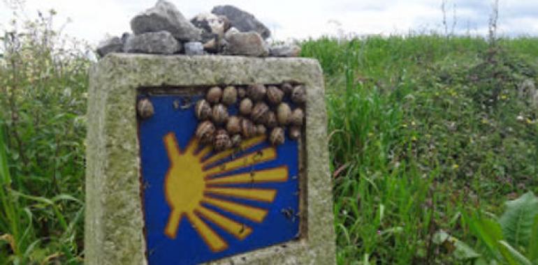 García Poo alerta sobre los movimientos de Galicia para marginar el Camino de Santiago por Abres